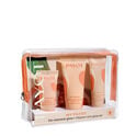 My Payot Crème Glow Estuche My Payot Crème Glow Estuche